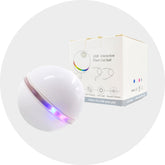 Đồ chơi tự động cho mèo